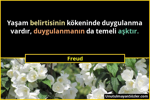 Freud - Yaşam belirtisinin kökeninde duygulanma vardır, duygulanmanın da temeli aşktır....