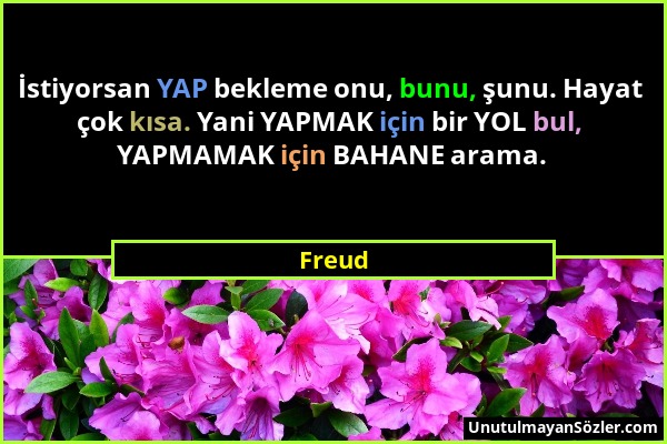 Freud - İstiyorsan YAP bekleme onu, bunu, şunu. Hayat çok kısa. Yani YAPMAK için bir YOL bul, YAPMAMAK için BAHANE arama....