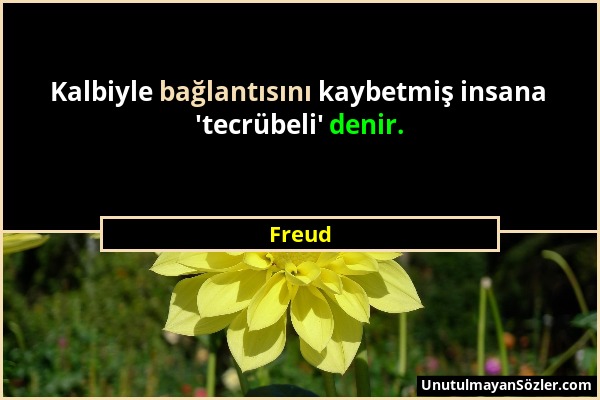 Freud - Kalbiyle bağlantısını kaybetmiş insana 'tecrübeli' denir....