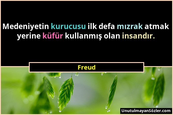 Freud - Medeniyetin kurucusu ilk defa mızrak atmak yerine küfür kullanmış olan insandır....