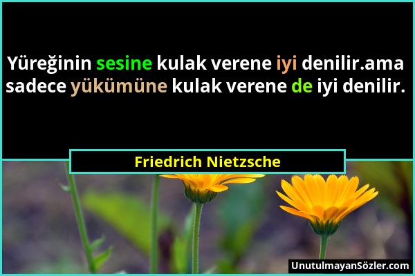 Friedrich Nietzsche - Yüreğinin sesine kulak verene iyi denilir.ama sadece yükümüne kulak verene de iyi denilir....