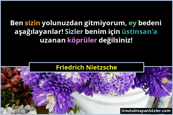 Friedrich Nietzsche - Ben sizin yolunuzdan gitmiyorum, ey bedeni aşağılayanlar! Sizler benim için üstinsan'a uzanan köprüler değilsiniz!...