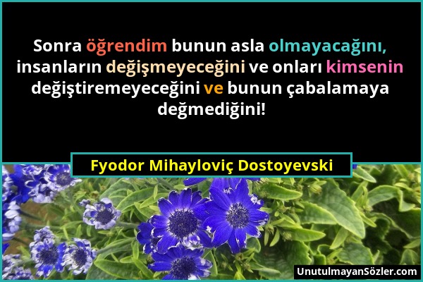 Fyodor Mihayloviç Dostoyevski - Sonra öğrendim bunun asla olmayacağını, insanların değişmeyeceğini ve onları kimsenin değiştiremeyeceğini ve bunun çab...