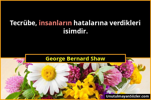 George Bernard Shaw - Tecrübe, insanların hatalarına verdikleri isimdir....