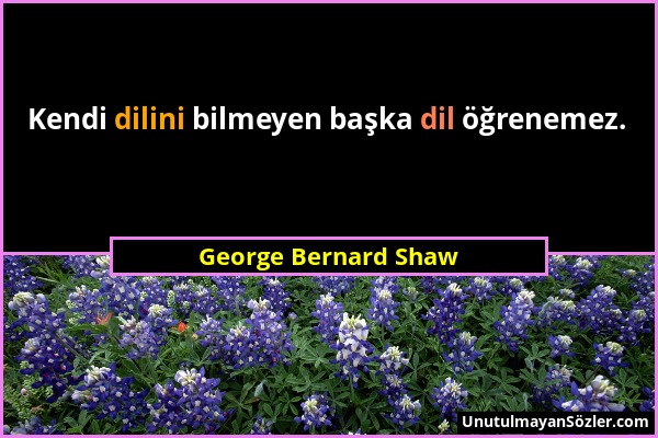 George Bernard Shaw - Kendi dilini bilmeyen başka dil öğrenemez....