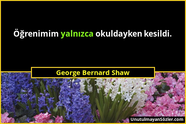 George Bernard Shaw - Öğrenimim yalnızca okuldayken kesildi....