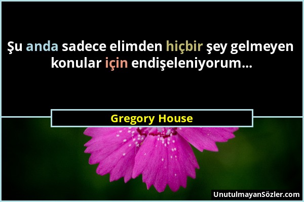 Gregory House - Şu anda sadece elimden hiçbir şey gelmeyen konular için endişeleniyorum......