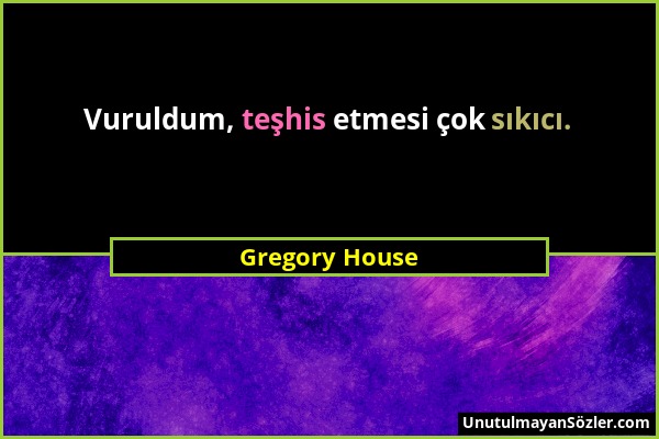 Gregory House - Vuruldum, teşhis etmesi çok sıkıcı....