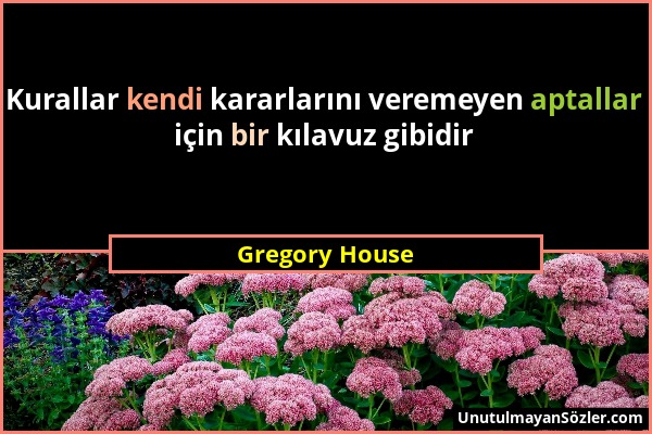 Gregory House - Kurallar kendi kararlarını veremeyen aptallar için bir kılavuz gibidir...