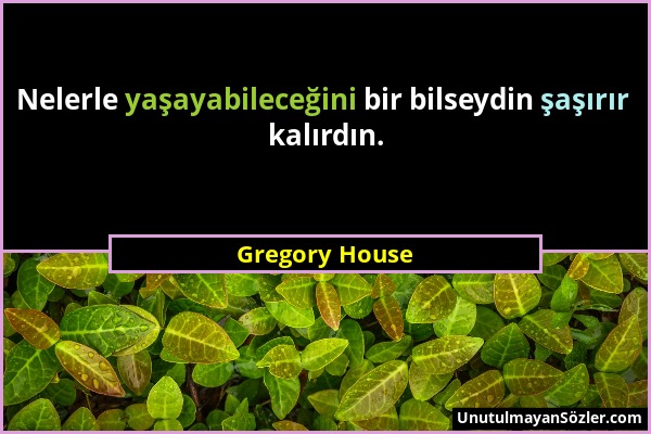 Gregory House - Nelerle yaşayabileceğini bir bilseydin şaşırır kalırdın....