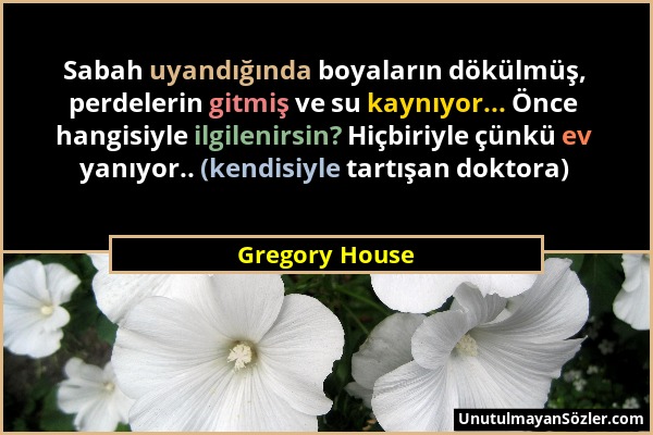 Gregory House - Sabah uyandığında boyaların dökülmüş, perdelerin gitmiş ve su kaynıyor... Önce hangisiyle ilgilenirsin? Hiçbiriyle çünkü ev yanıyor.....