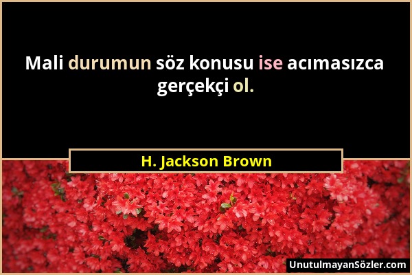 H. Jackson Brown - Mali durumun söz konusu ise acımasızca gerçekçi ol....