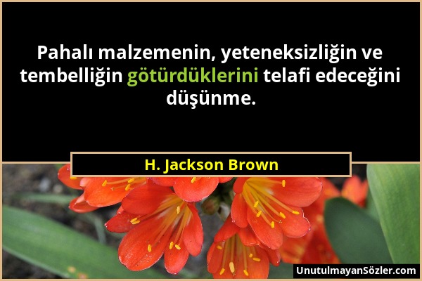 H. Jackson Brown - Pahalı malzemenin, yeteneksizliğin ve tembelliğin götürdüklerini telafi edeceğini düşünme....