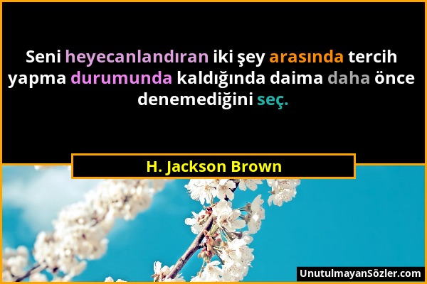 H. Jackson Brown - Seni heyecanlandıran iki şey arasında tercih yapma durumunda kaldığında daima daha önce denemediğini seç....