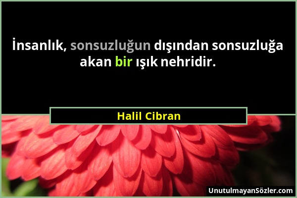 Halil Cibran - İnsanlık, sonsuzluğun dışından sonsuzluğa akan bir ışık nehridir....