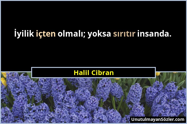 Halil Cibran - İyilik içten olmalı; yoksa sırıtır insanda....