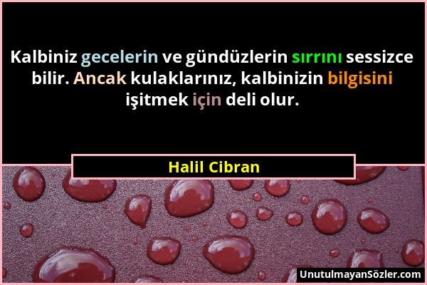 Halil Cibran - Kalbiniz gecelerin ve gündüzlerin sırrını sessizce bilir. Ancak kulaklarınız, kalbinizin bilgisini işitmek için deli olur....