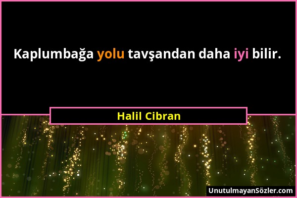 Halil Cibran - Kaplumbağa yolu tavşandan daha iyi bilir....