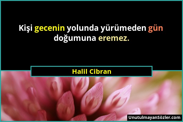 Halil Cibran - Kişi gecenin yolunda yürümeden gün doğumuna eremez....