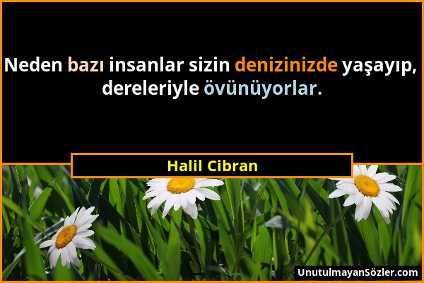 Halil Cibran - Neden bazı insanlar sizin denizinizde yaşayıp, dereleriyle övünüyorlar....