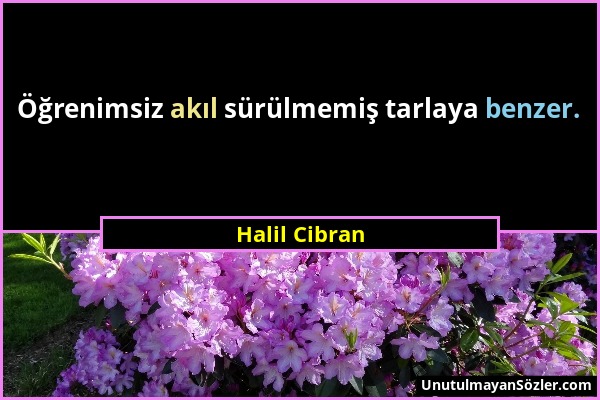 Halil Cibran - Öğrenimsiz akıl sürülmemiş tarlaya benzer....