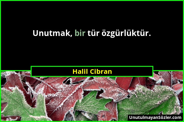 Halil Cibran - Unutmak, bir tür özgürlüktür....