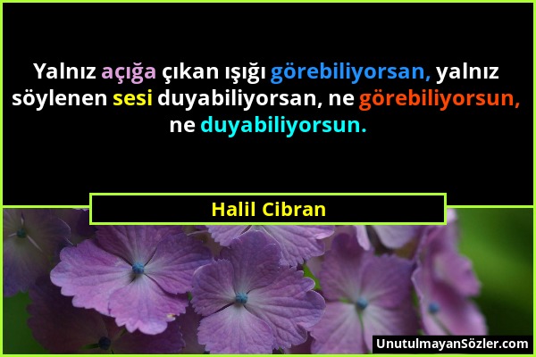 Halil Cibran - Yalnız açığa çıkan ışığı görebiliyorsan, yalnız söylenen sesi duyabiliyorsan, ne görebiliyorsun, ne duyabiliyorsun....