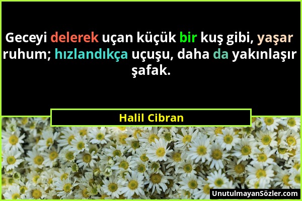 Halil Cibran - Geceyi delerek uçan küçük bir kuş gibi, yaşar ruhum; hızlandıkça uçuşu, daha da yakınlaşır şafak....