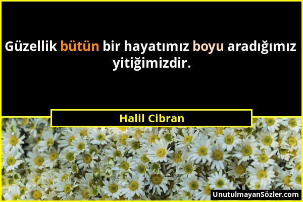 Halil Cibran - Güzellik bütün bir hayatımız boyu aradığımız yitiğimizdir....