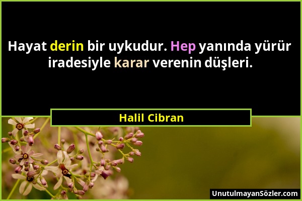 Halil Cibran - Hayat derin bir uykudur. Hep yanında yürür iradesiyle karar verenin düşleri....