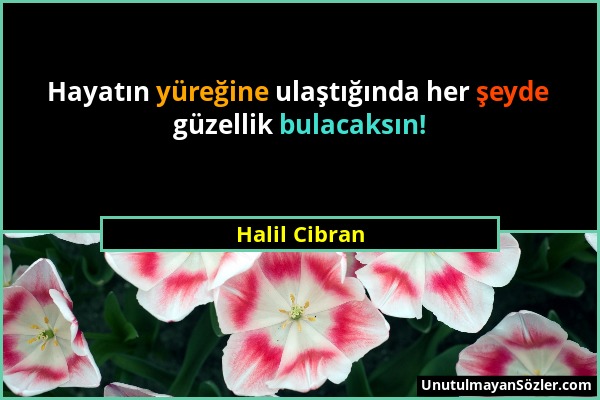 Halil Cibran - Hayatın yüreğine ulaştığında her şeyde güzellik bulacaksın!...