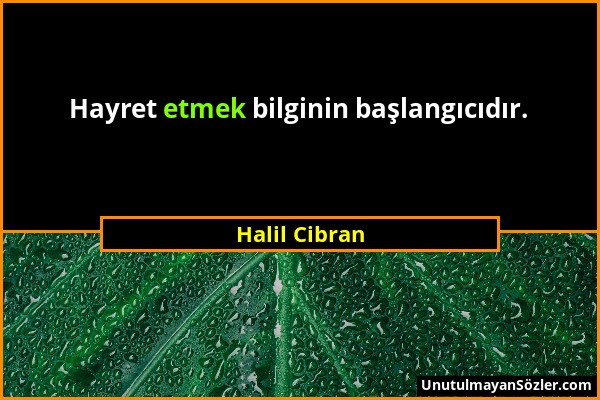 Halil Cibran - Hayret etmek bilginin başlangıcıdır....