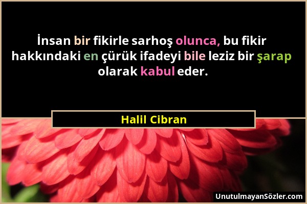 Halil Cibran - İnsan bir fikirle sarhoş olunca, bu fikir hakkındaki en çürük ifadeyi bile leziz bir şarap olarak kabul eder....