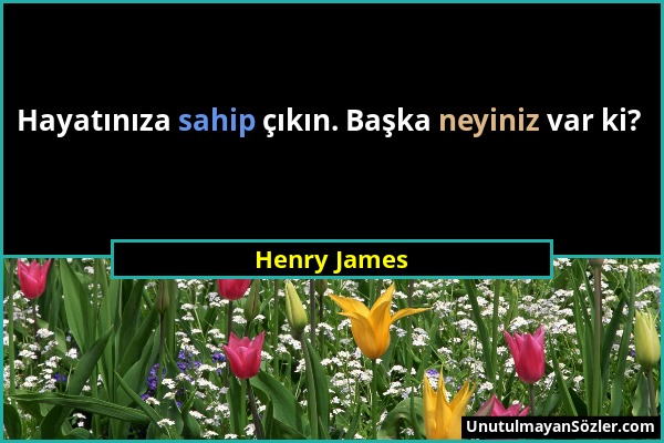 Henry James - Hayatınıza sahip çıkın. Başka neyiniz var ki?...