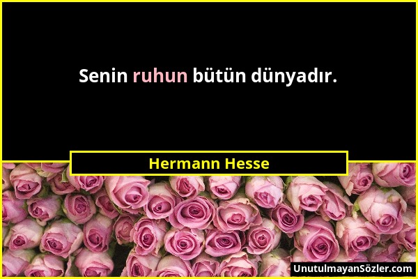 Hermann Hesse - Senin ruhun bütün dünyadır....