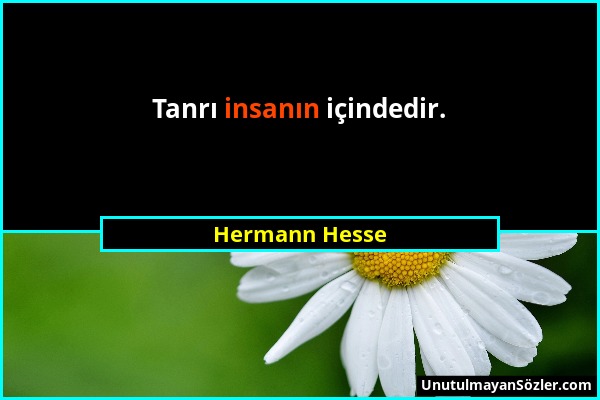 Hermann Hesse - Tanrı insanın içindedir....