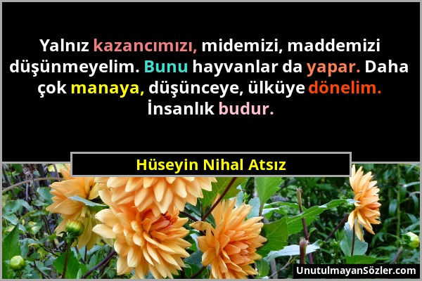 Hüseyin Nihal Atsız - Yalnız kazancımızı, midemizi, maddemizi düşünmeyelim. Bunu hayvanlar da yapar. Daha çok manaya, düşünceye, ülküye dönelim. İnsan...