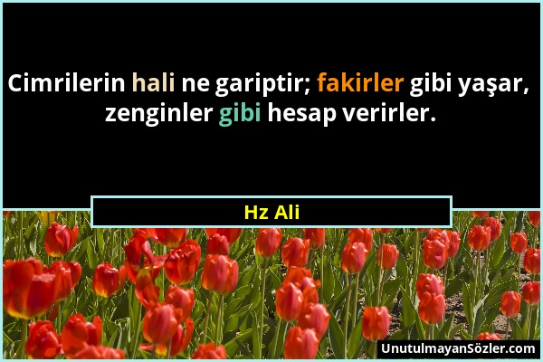 Hz Ali - Cimrilerin hali ne gariptir; fakirler gibi yaşar, zenginler gibi hesap verirler....