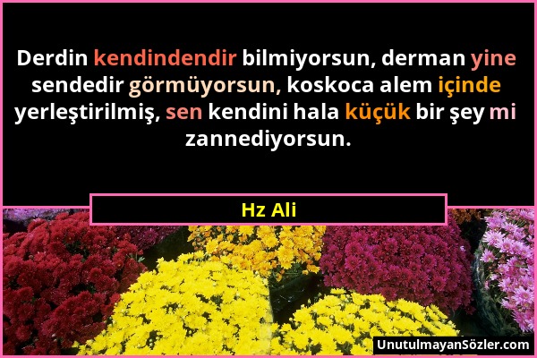 Hz Ali - Derdin kendindendir bilmiyorsun, derman yine sendedir görmüyorsun, koskoca alem içinde yerleştirilmiş, sen kendini hala küçük bir şey mi zann...