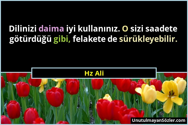 Hz Ali - Dilinizi daima iyi kullanınız. O sizi saadete götürdüğü gibi, felakete de sürükleyebilir....