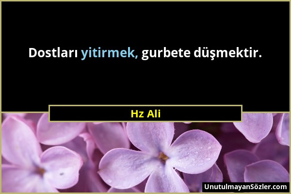 Hz Ali - Dostları yitirmek, gurbete düşmektir....