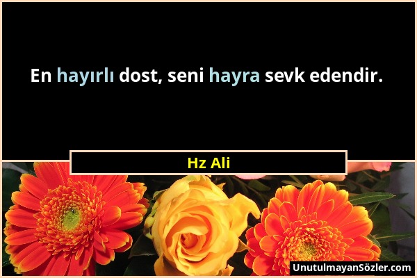 Hz Ali - En hayırlı dost, seni hayra sevk edendir....