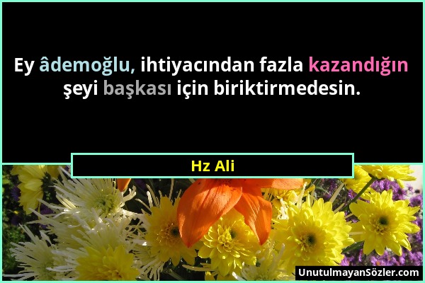 Hz Ali - Ey âdemoğlu, ihtiyacından fazla kazandığın şeyi başkası için biriktirmedesin....