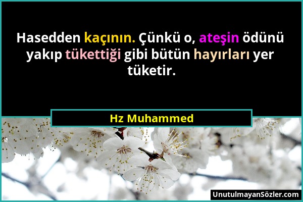 Hz Muhammed - Hasedden kaçının. Çünkü o, ateşin ödünü yakıp tükettiği gibi bütün hayırları yer tüketir....