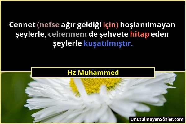 Hz Muhammed - Cennet (nefse ağır geldiği için) hoşlanılmayan şeylerle, cehennem de şehvete hitap eden şeylerle kuşatılmıştır....