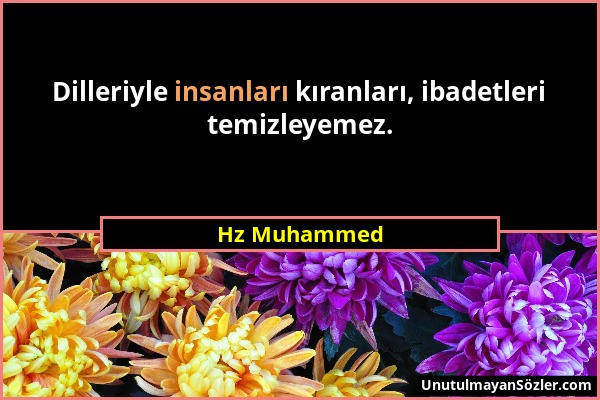 Hz Muhammed - Dilleriyle insanları kıranları, ibadetleri temizleyemez....