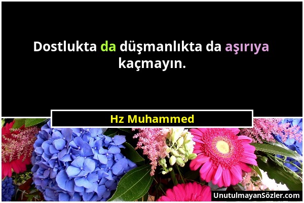 Hz Muhammed - Dostlukta da düşmanlıkta da aşırıya kaçmayın....