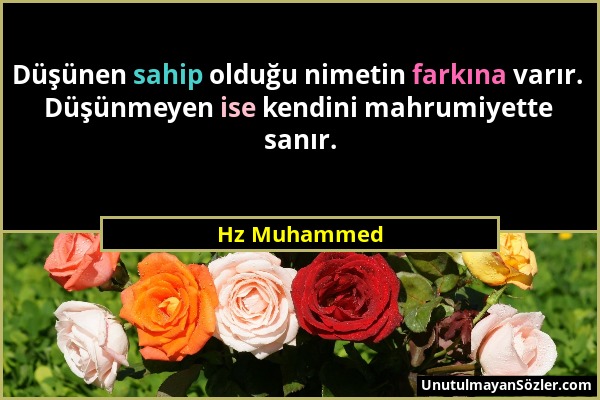 Hz Muhammed - Düşünen sahip olduğu nimetin farkına varır. Düşünmeyen ise kendini mahrumiyette sanır....