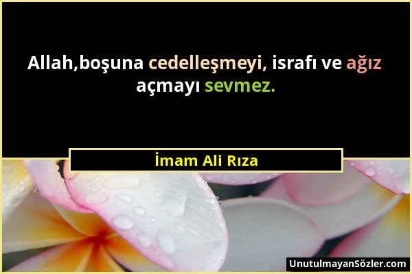 İmam Ali Rıza - Allah,boşuna cedelleşmeyi, israfı ve ağız açmayı sevmez....