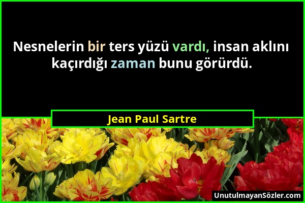 Jean Paul Sartre - Nesnelerin bir ters yüzü vardı, insan aklını kaçırdığı zaman bunu görürdü....